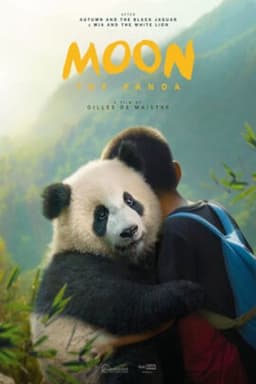 moon-the-panda